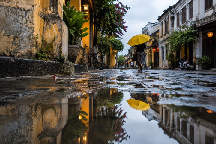 Rain & Reflections