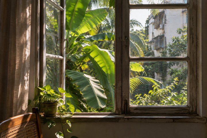A window of green.