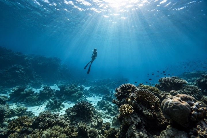 Into the blue.